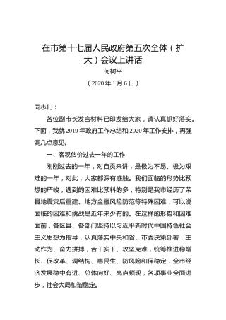 何树平：在市第十七届人民政府第五次全体（扩大）会议上讲话