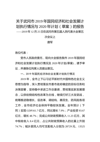 关于武冈市2019年国民经济和社会发展计划执行情况与2020年计划（草案）的报告