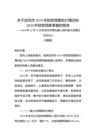 关于武冈市2019年财政预算执行情况和2020年财政预算草案的报告