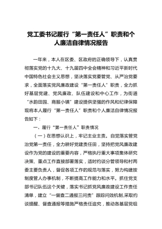 党工委书记履行“第一责任人”职责和个人廉洁自律情况报告
