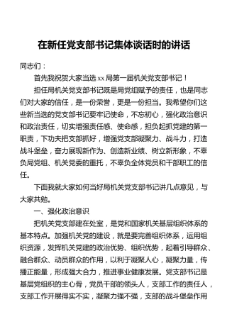 在新任党支部书记集体谈话时的讲话
