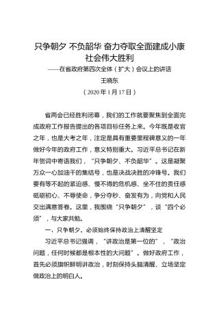 王晓东：只争朝夕不负韶华奋力夺取全面建成小康社会伟大胜利——在省政府第四次全体（扩大）会议上的讲话