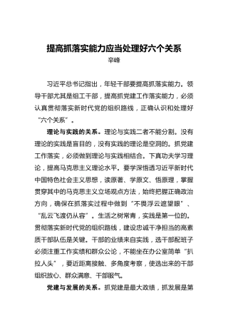 辛峰：提高抓落实能力应当处理好六个关系