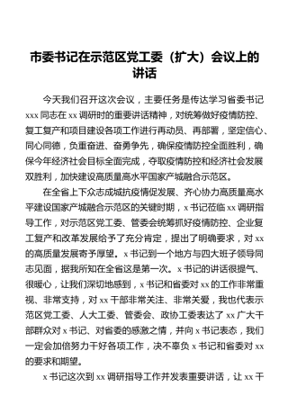 市委书记在示范区党工委（扩大）会议上的讲话