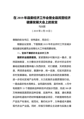 马治国：在2019年县委经济工作会暨全县民营经济健康发展大会上的发言