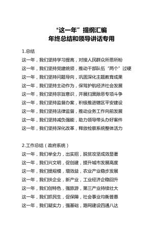 这一年提纲汇编年终总结和领导讲话专用