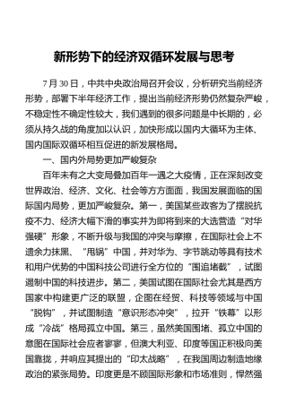新形势下的经济双循环发展与思考