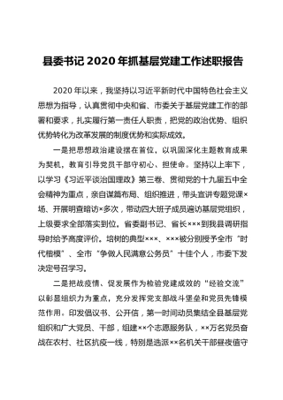 县委书记2020年抓基层党建工作述职报告