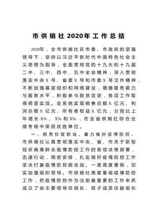 市供销社2020年工作总结