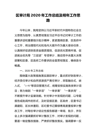 区审计局2020年工作总结及明年工作思路