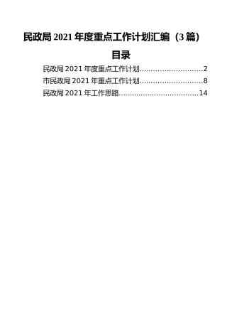 民政局2021年度重点工作计划汇编（3篇）
