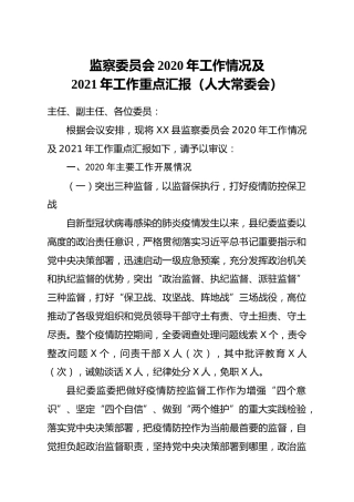 监察委员会2020年工作情况及2021年工作重点汇报人大常委会