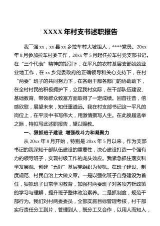 XXXX年村支书述职报告