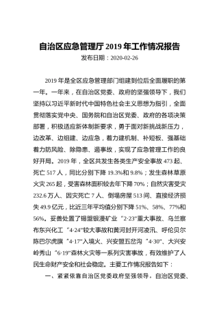 自治区应急管理厅2019年工作情况报告