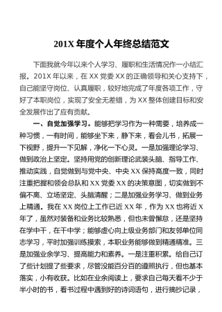 201X年度个人年终总结范文