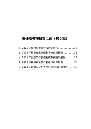 责任制考核报告汇编（共5篇）