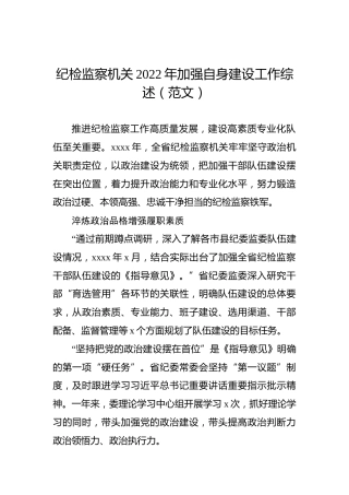 纪检监察机关2022年加强自身建设工作综述（范文）