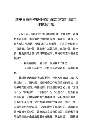 新宁县稳外资稳外贸促消费和招商引资工作情况汇报