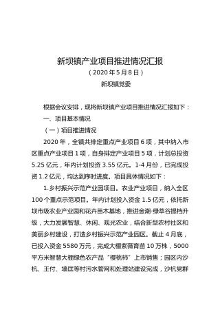 新坝镇产业项目推进情况汇报