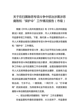 关于在扫黑除恶专项斗争中惩治涉黑涉恶腐败和“保护伞”工作情况报告（市级）