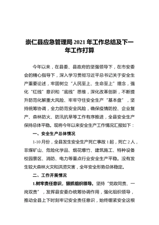 应急管理局2021年工作总结及下一年工作打算（20211117）