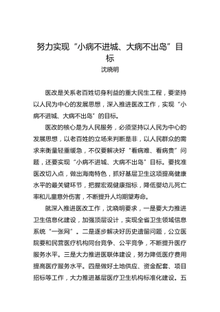 沈晓明：努力实现“小病不进城、大病不出岛”目标