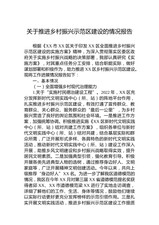 关于推进乡村振兴示范区建设的情况报告