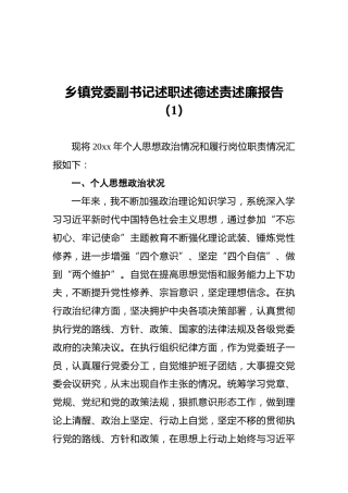 乡镇党委副书记述职述德述责述廉报告（1）