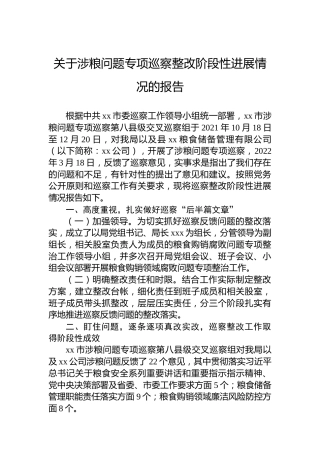 关于涉粮问题专项巡察整改阶段性进展情况的报告