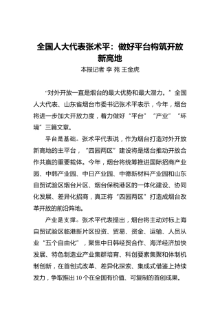 全国人大代表张术平：做好平台构筑开放新高地