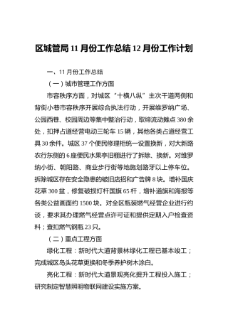 区城管局11月份工作总结12月份工作计划