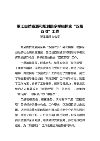 望江自然资源和规划局多举措抓实“双招双引”工作
