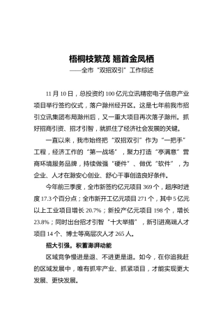 市“双招双引”工作综述（20211125）