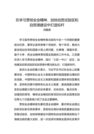 刘赐贵：在学习贯彻全会精神、加快自贸试验区和自贸港建设中打造标杆