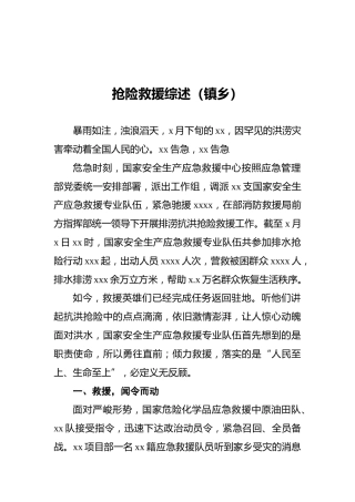 抢险救援综述（镇乡）