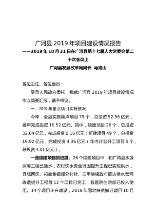 广河县2019年项目建设情况报告