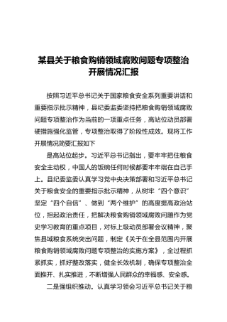 某县关于粮食购销领域腐败问题专项整治开展情况汇报