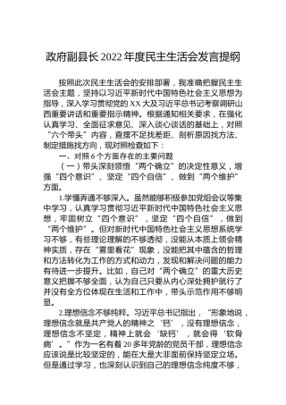 政府副县长2022年度民主生活会发言提纲
