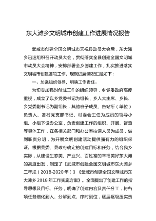 东大滩乡文明城市创建工作进展情况报告