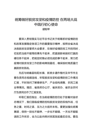 谌贻琴：统筹做好脱贫攻坚和疫情防控在两场大战中践行初心使命