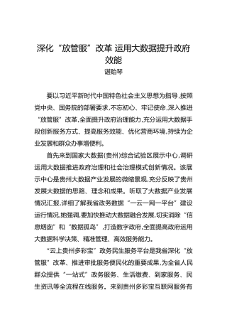 谌贻琴：深化“放管服”改革运用大数据提升政府效能