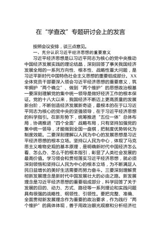 在“学查改”专题研讨会上的发言（经济思想）