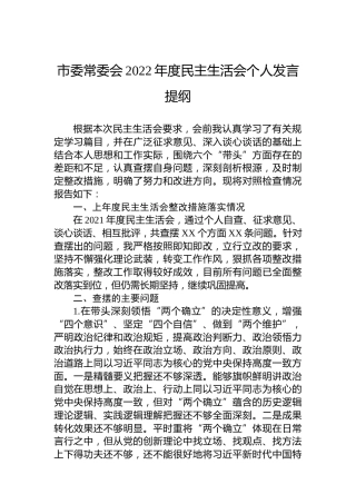 市委常委会2022年度民主生活会个人发言提纲