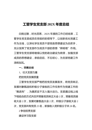 工管学生党支部202X年度总结