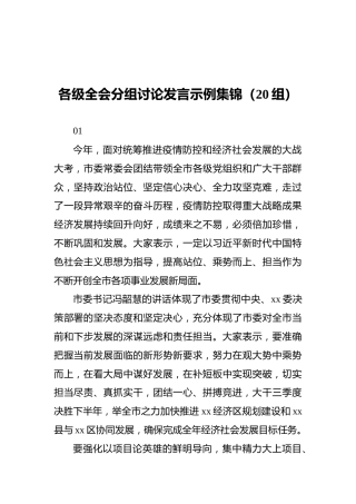 各级全会分组讨论发言示例集锦（20组）