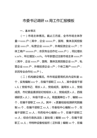 市委书记调研xx局工作汇报模板