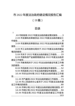 市2022年度法治政府建设情况报告汇编（19篇）