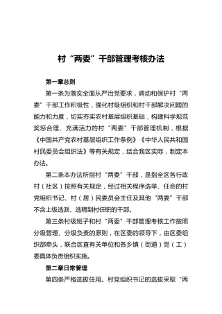 村“两委”干部管理考核办法