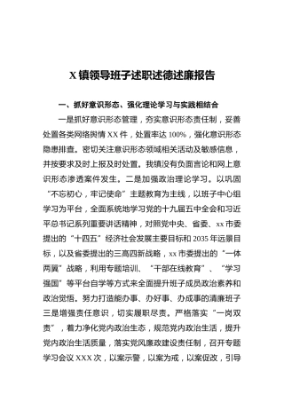 X镇领导班子述职述德述廉报告