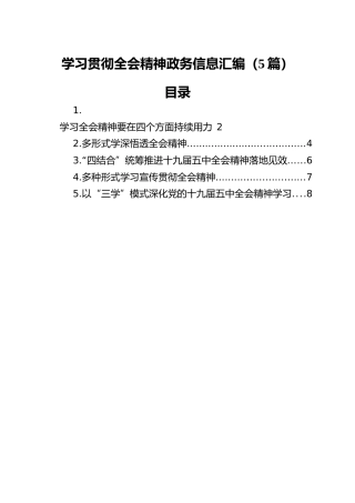 学习贯彻全会精神政务信息汇编（5篇）